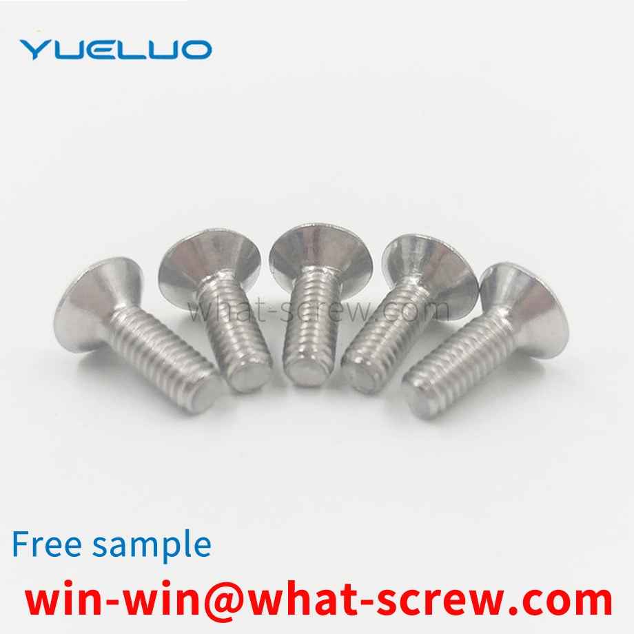 Flat Head Torx Screws