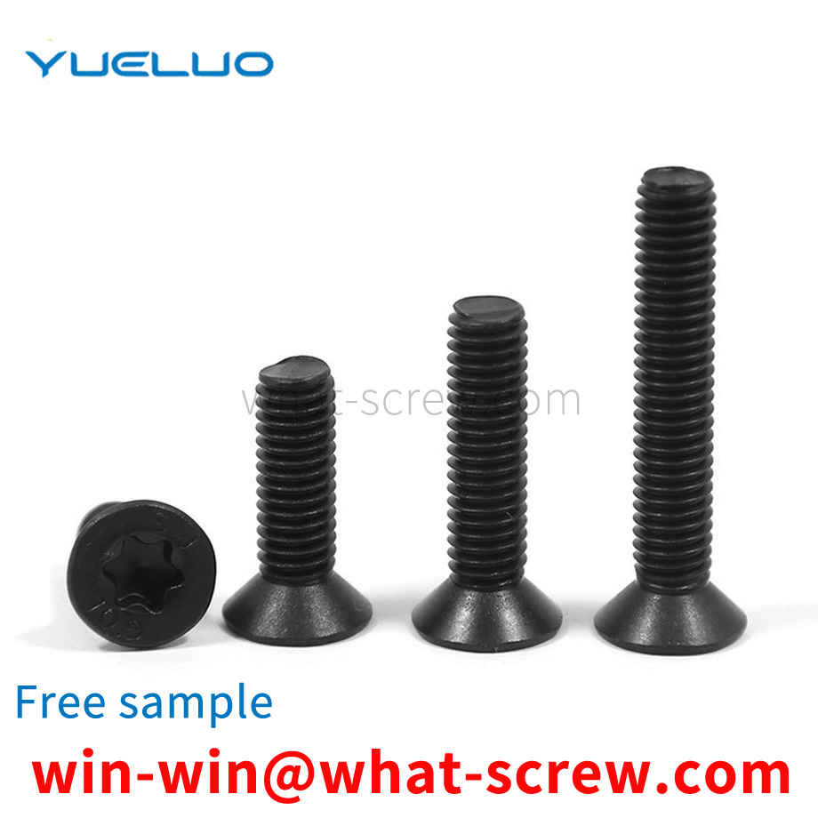 Customized black torx countersunk head screws