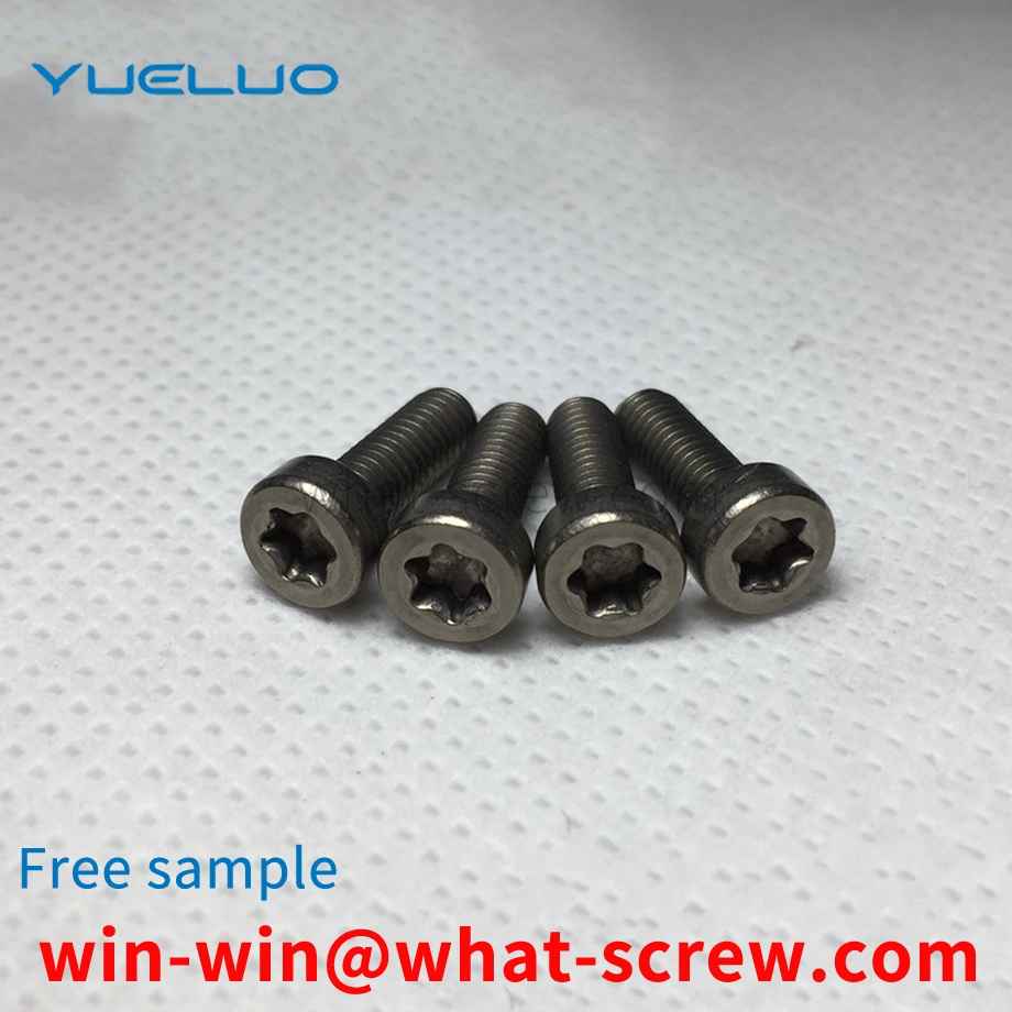 Custom TA2 Titanium Screws