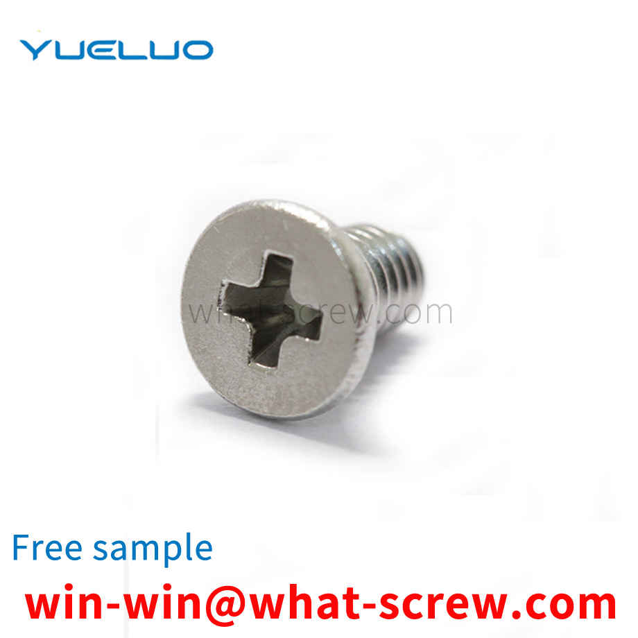 Flat head Phillips screw