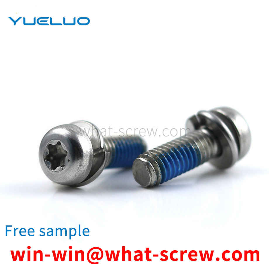 304 round head torx hole screw