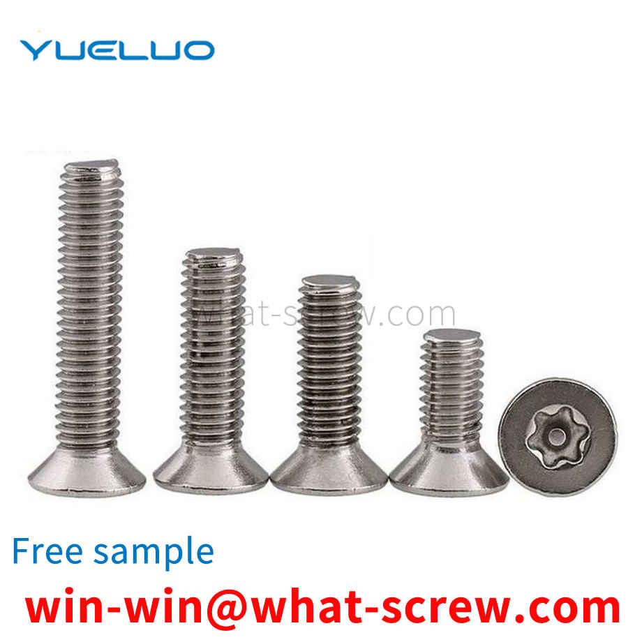 Hexagon socket head screw with needle