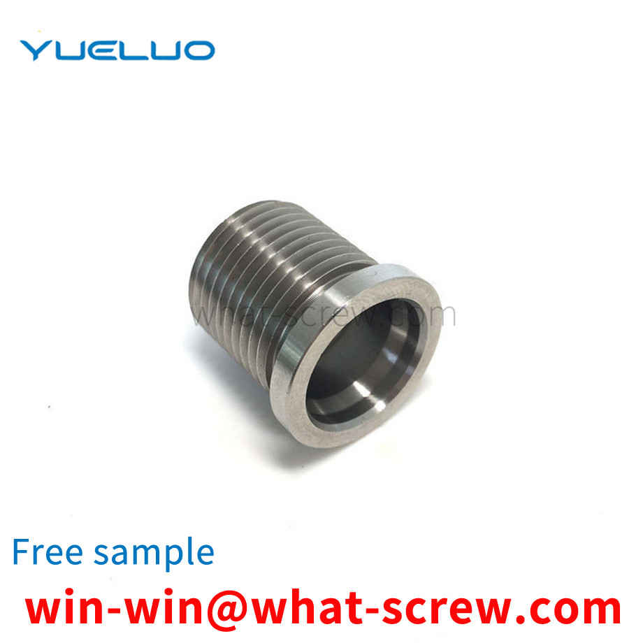 Stainless steel internal and external screw