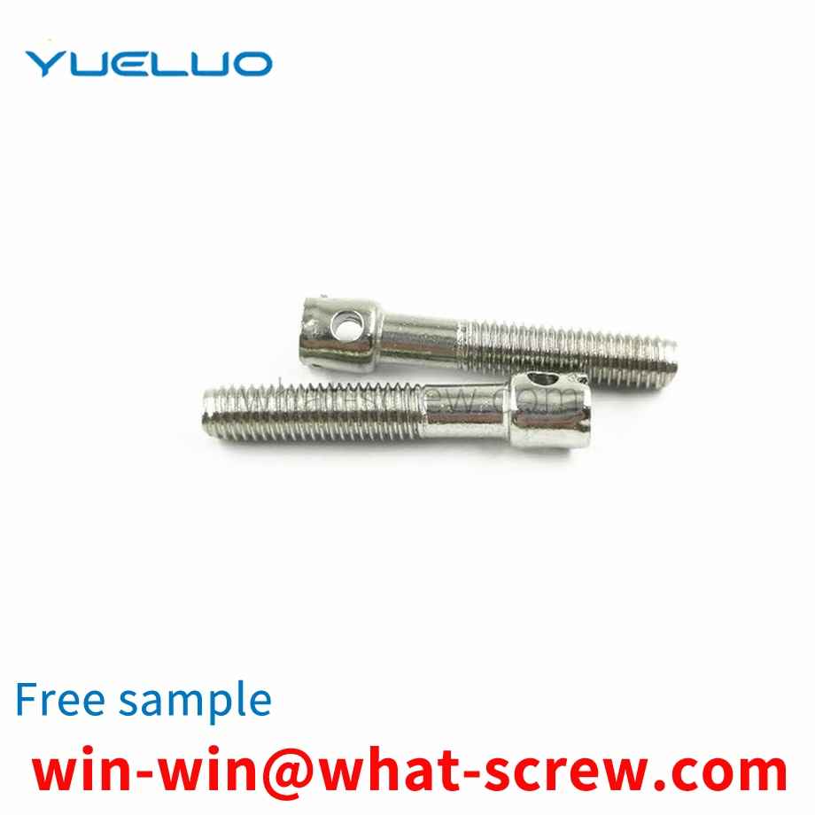 Single hole lead seal meter screw