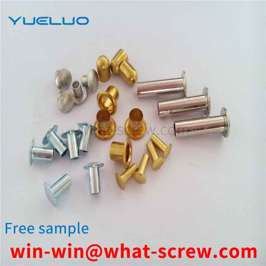 Semi-Hollow Stainless Steel Rivets