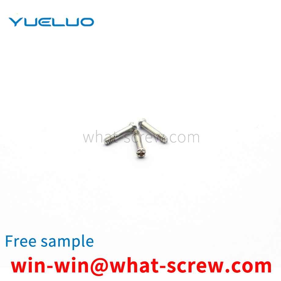 Micro glasses frame screws