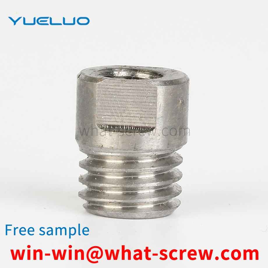 Stainless Steel Nut