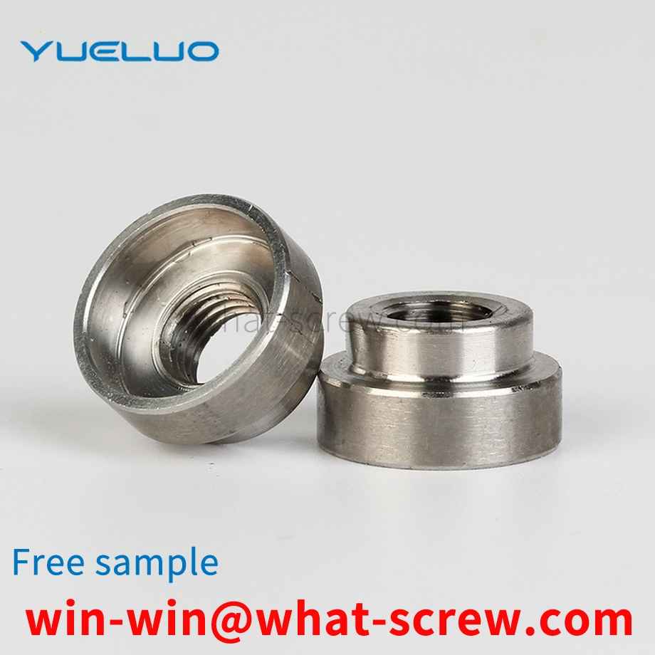 Stainless Steel Nut