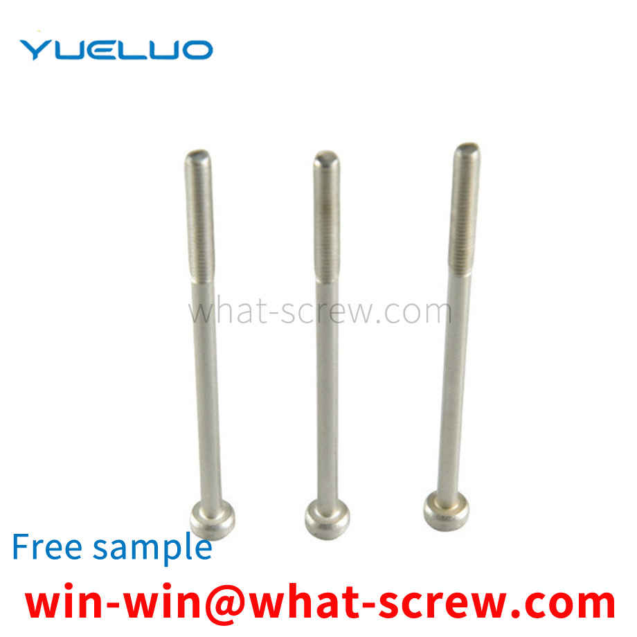 Custom Stainless Steel Anti-theft Screws