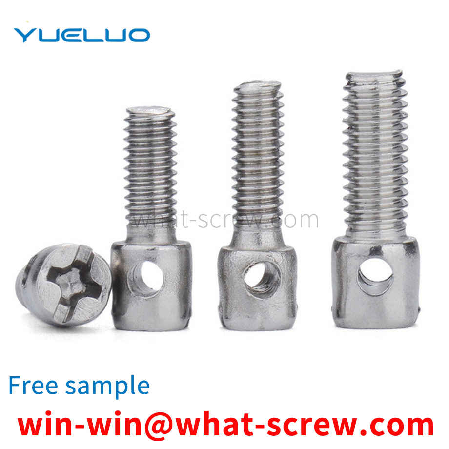 Phillips screw with hole
