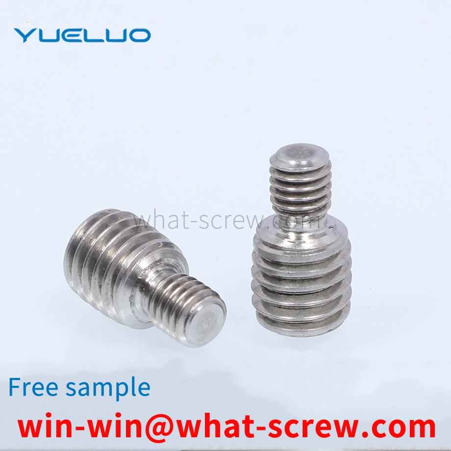 316 Stainless Steel Conversion Screws