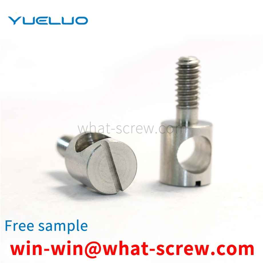 Stainless Steel Horizontal Hole Screws