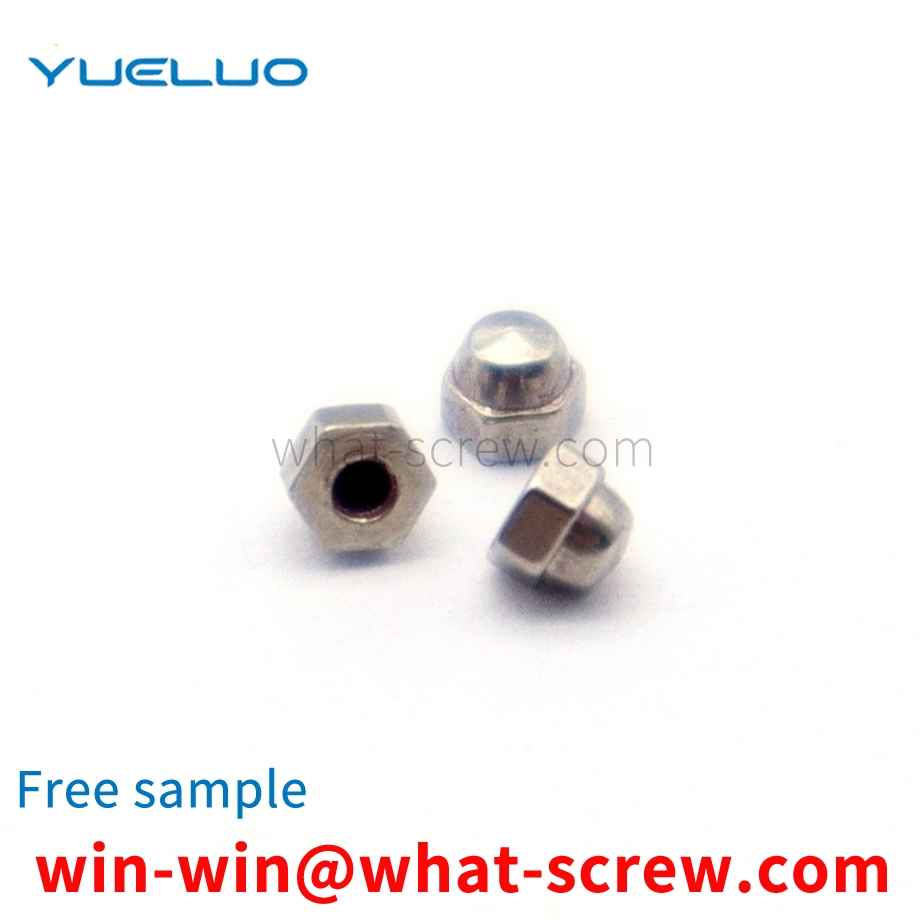 Stainless Steel 304 Nut