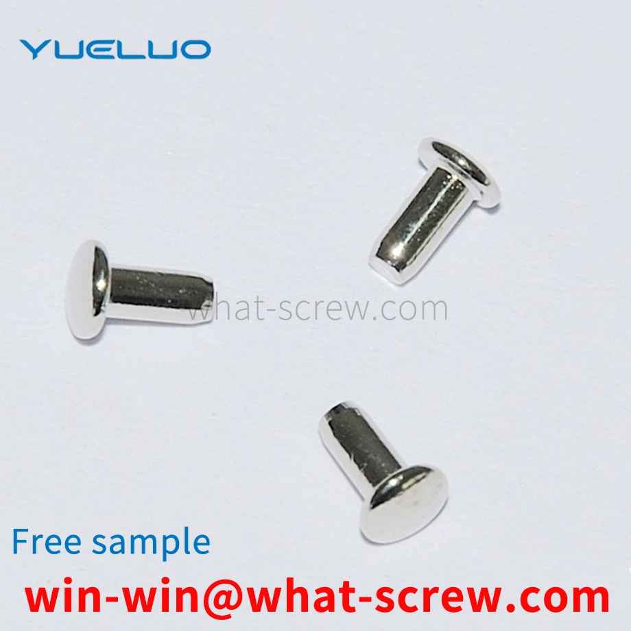 Rivet Miniature Small Screw