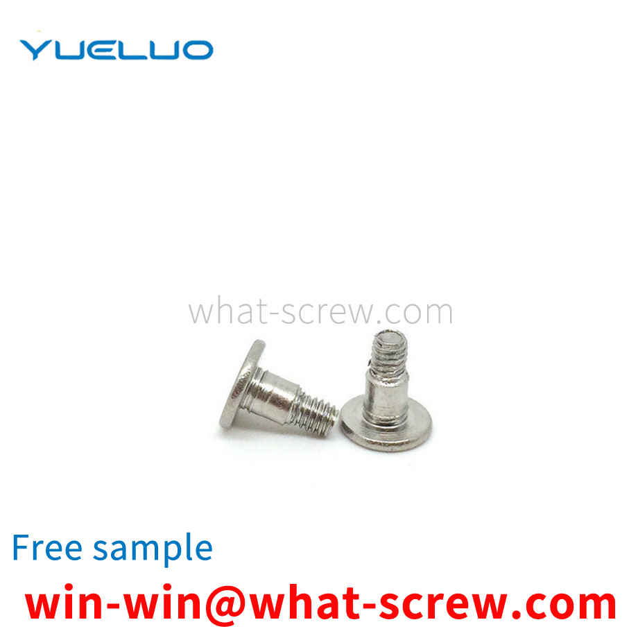 Customized stainless steel 304 step screws