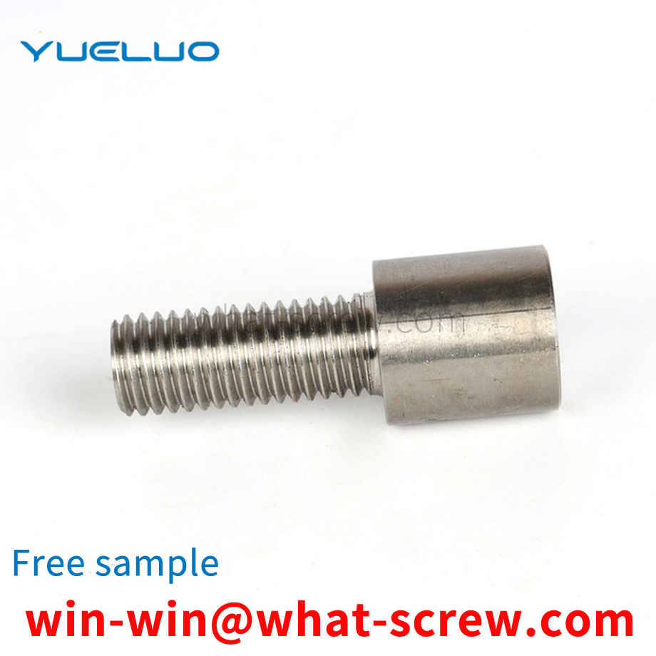 Stainless Steel Single Head Screw