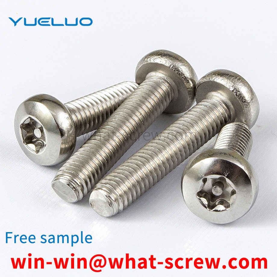 Round head Torx anti-theft screw