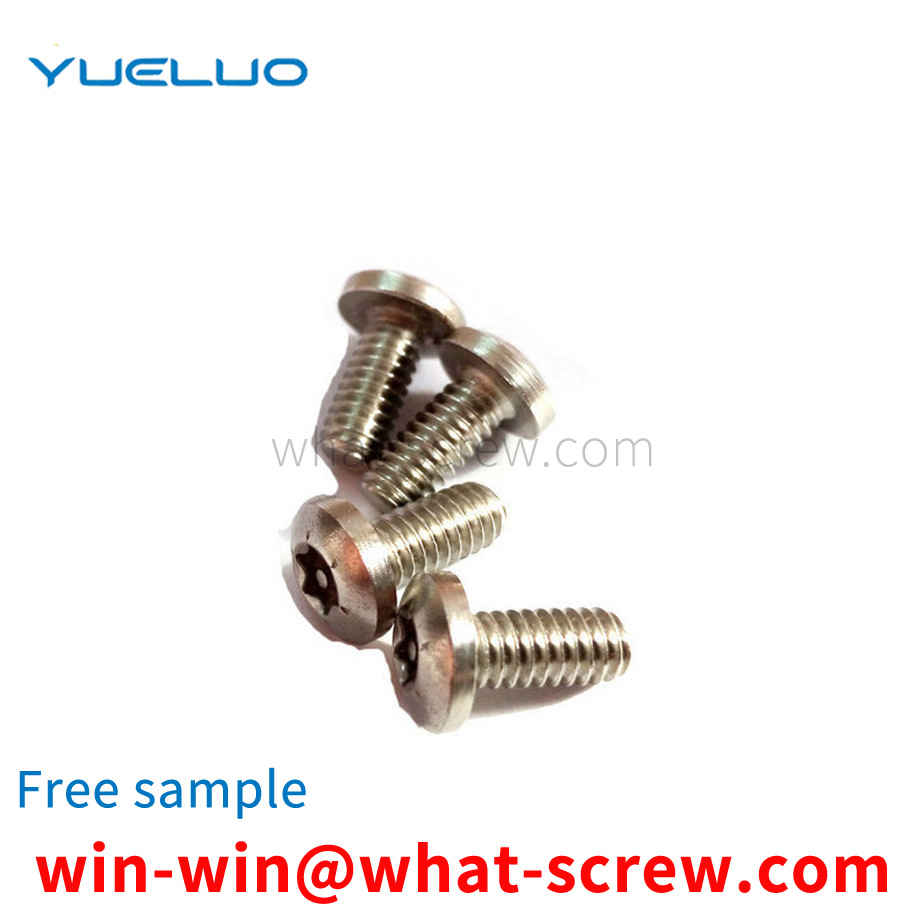 316 anti-theft screws