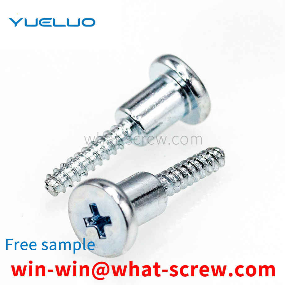 Customized Hamiltonspecial screws