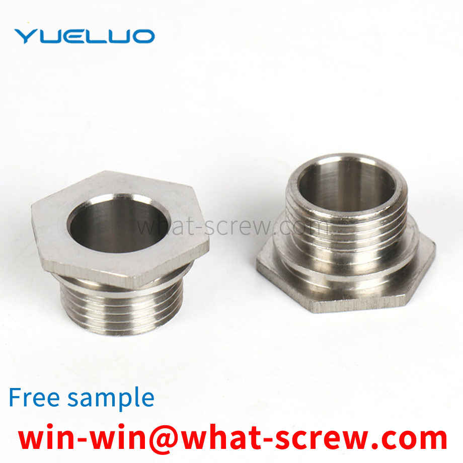 Stainless Steel Hexagon Plug