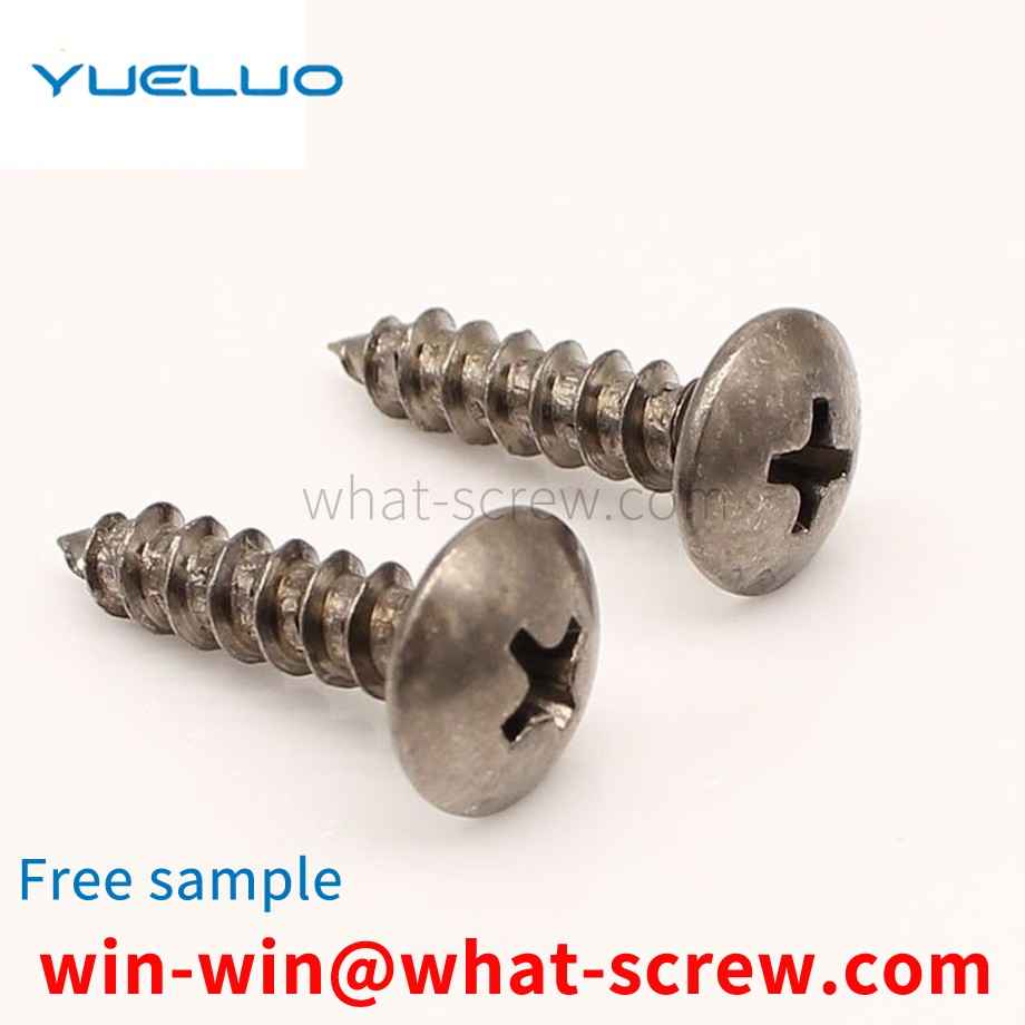 Galvanized Expansion Screws