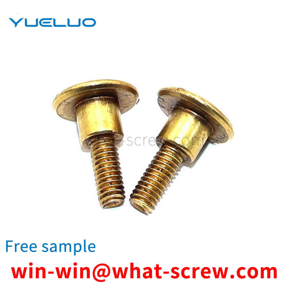Non-standard round head slotted bolt