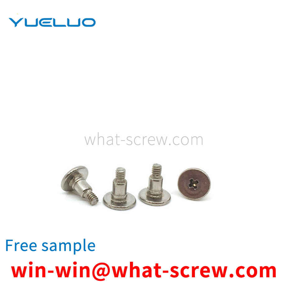 Stainless Steel Step Screws