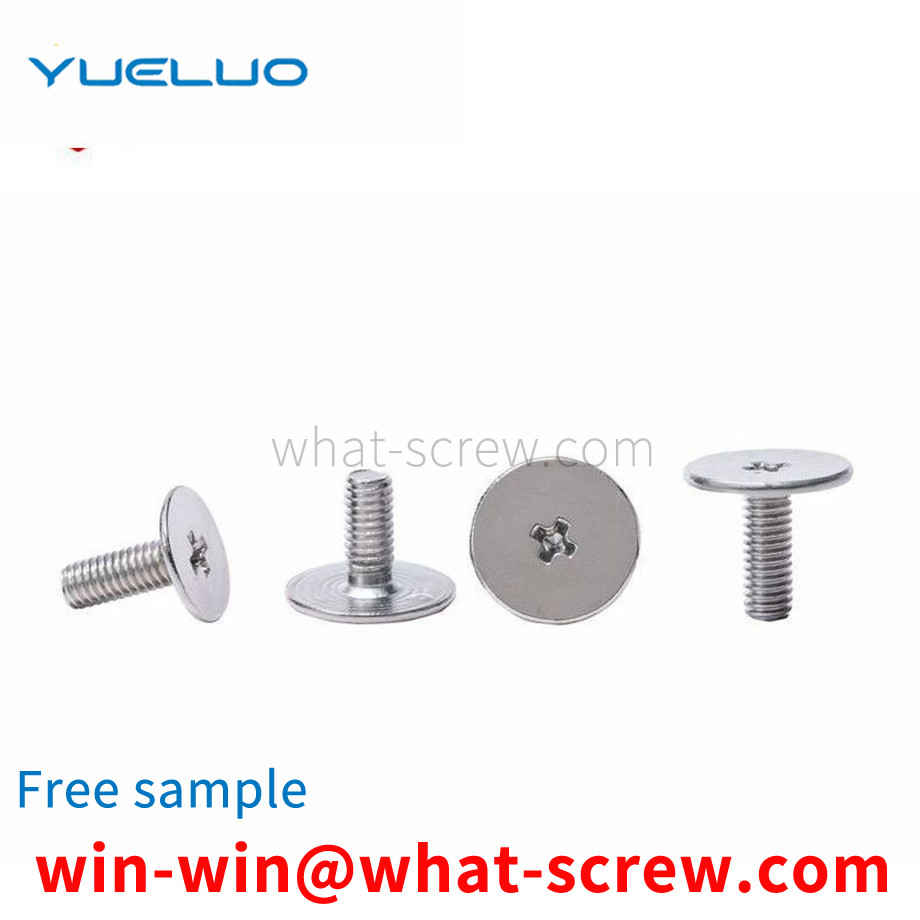 Supply 304CM Phillips screw