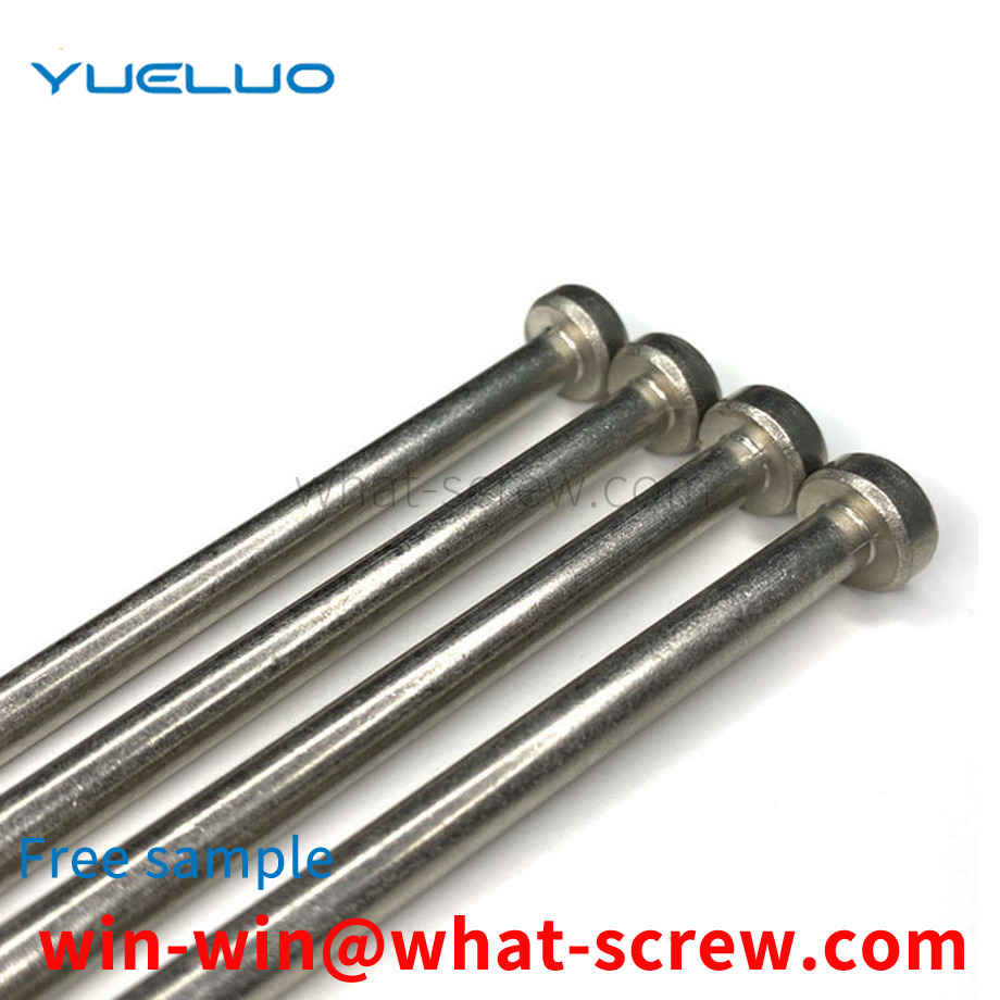 Customized stainless steel screws