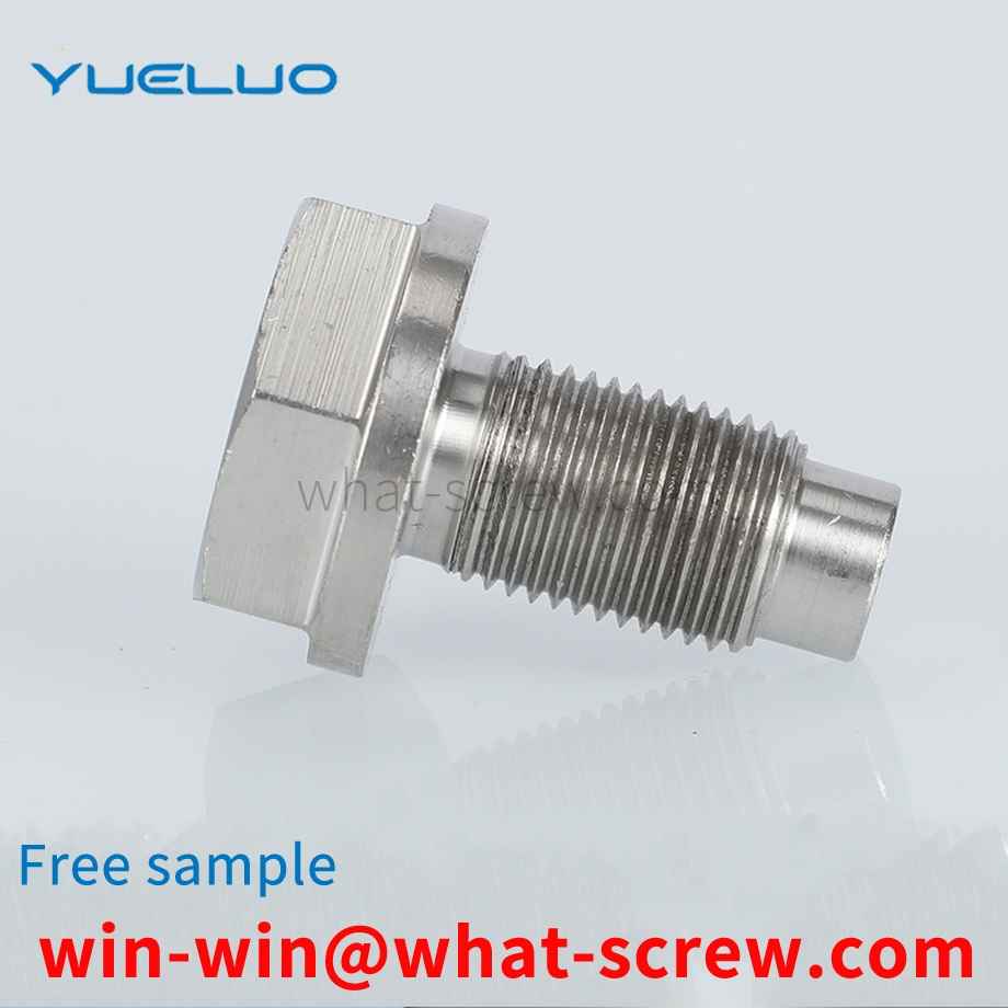 Hexagon Stainless Steel Screws