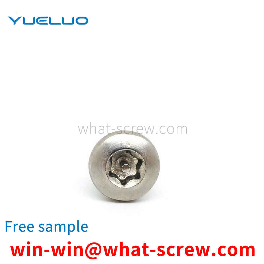 Stainless steel 304 anti-theft screws