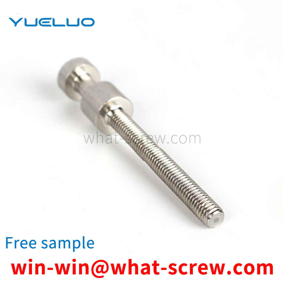 adjustable screw