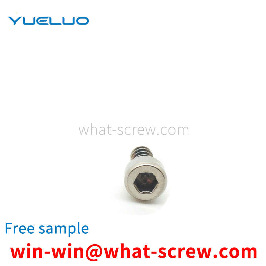 Customized stainless steel 304 screws