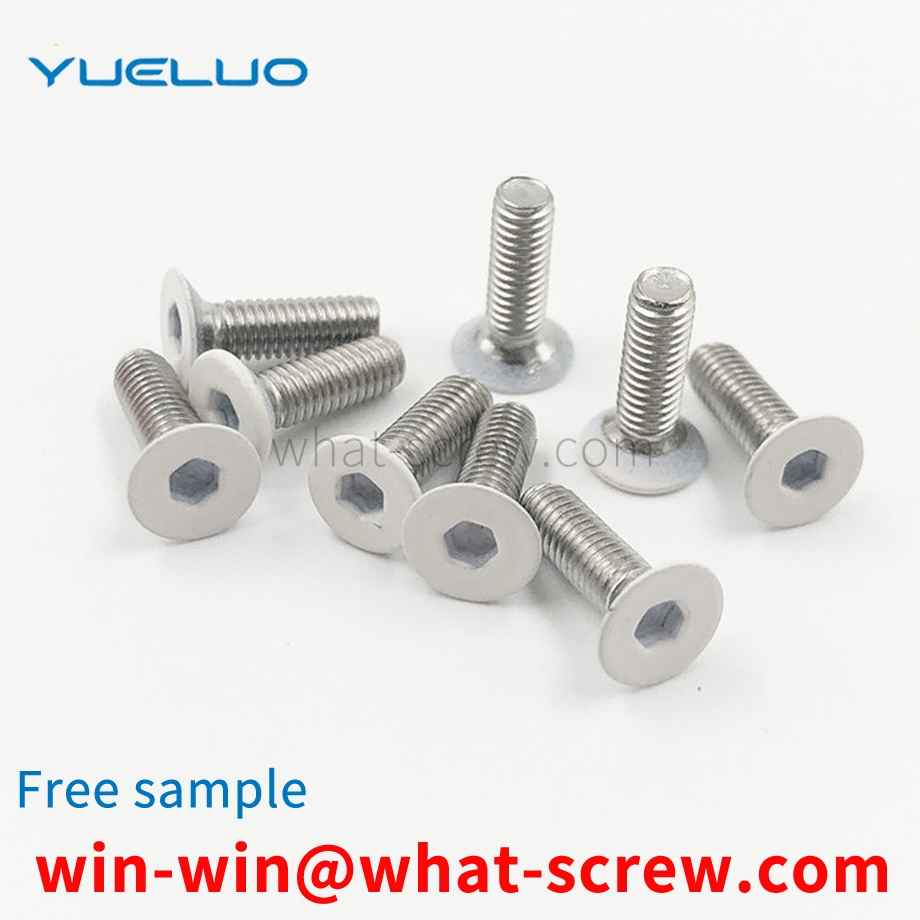 Baked white painted screws