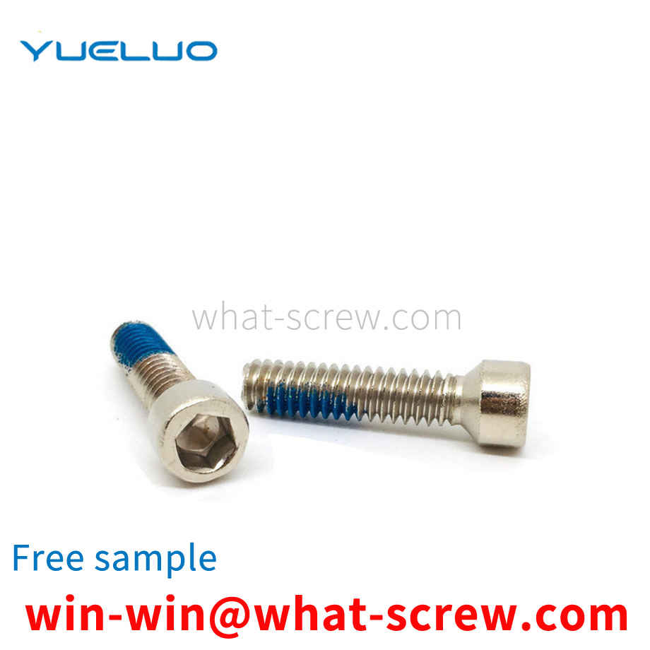 Customized cylindrical head socket head Dublincap screws