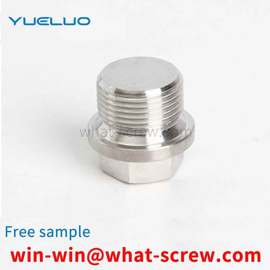 Customized flange face plug