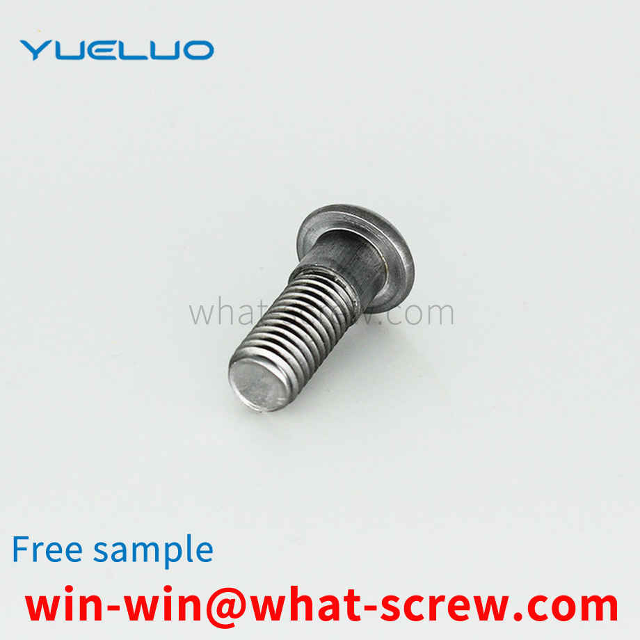 Customized half round head socket head step screw