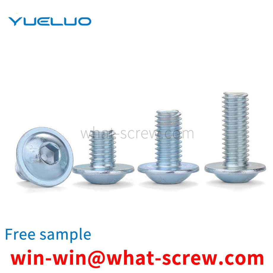 Blue and White Round Head Hexagon Socket Bolt with Washer