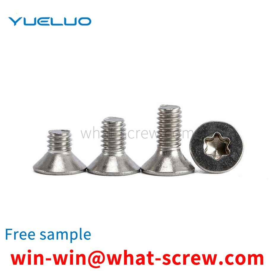 Countersunk head Torx screws