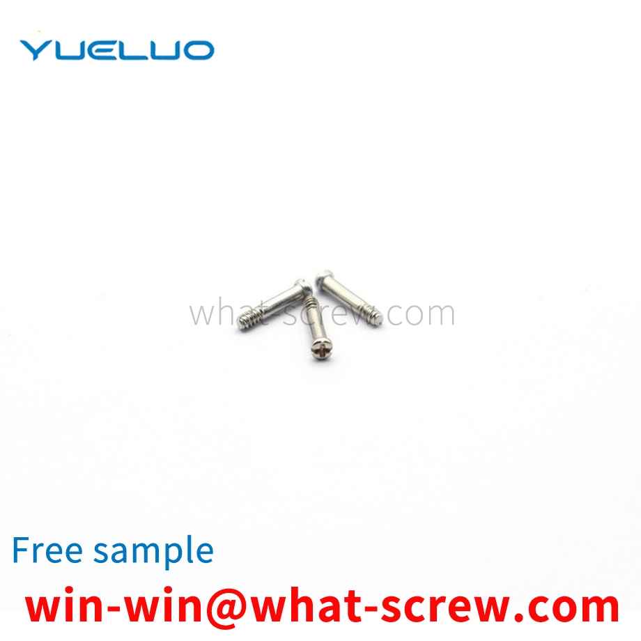 Stainless Steel Micro Glasses Screws