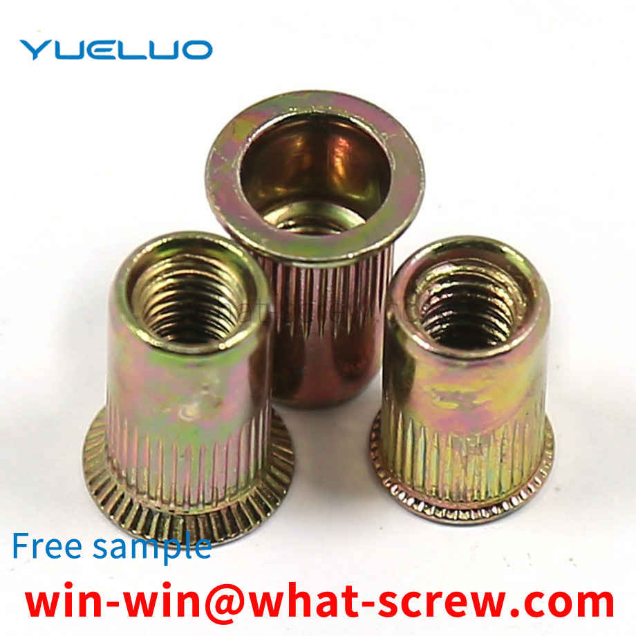 Customized DublinDublinrivet nuts