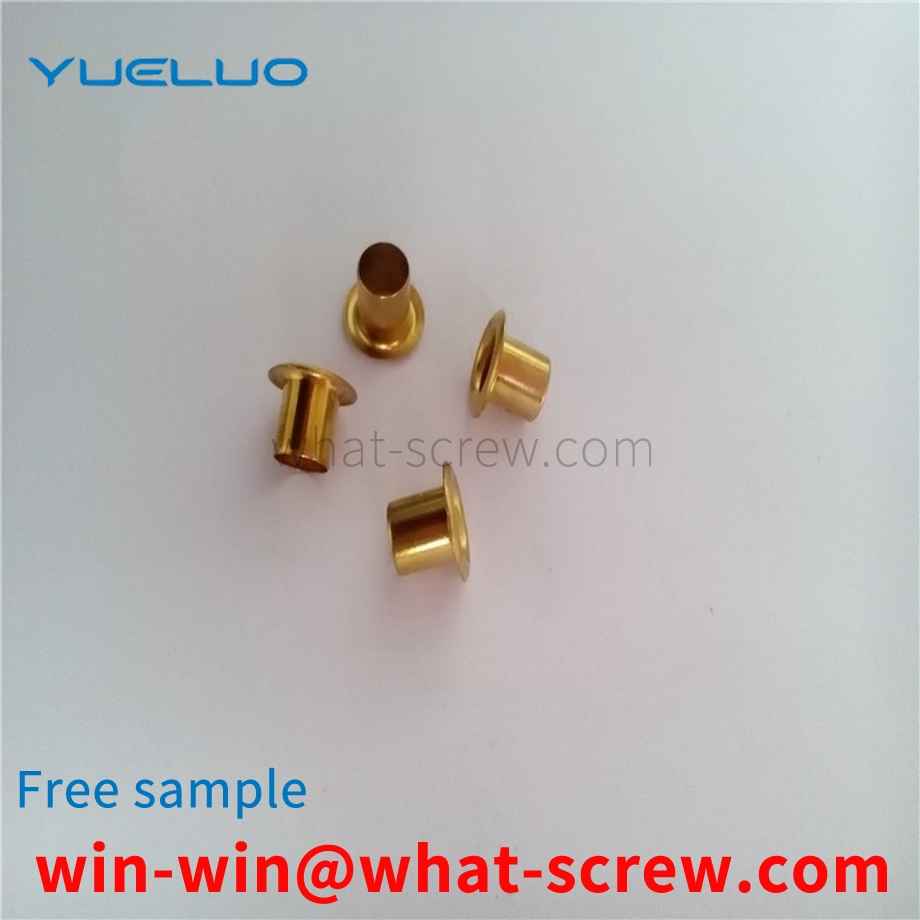 Semi-Hollow Stainless Steel Rivets