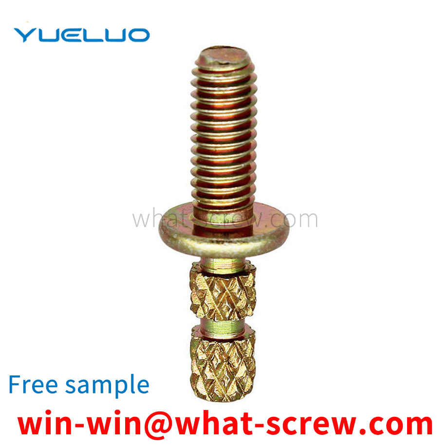 Customized double head injection screw