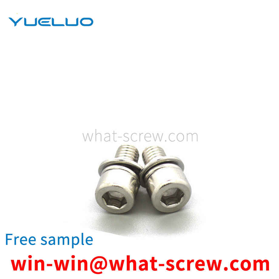 Customized stainless steel cylinder head screws