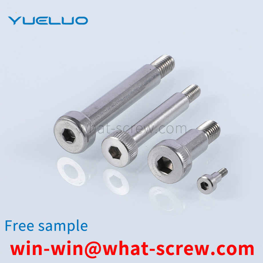 Stainless steel plug and screw