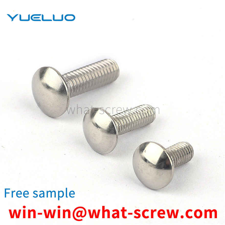 Customized 304 carriage screws