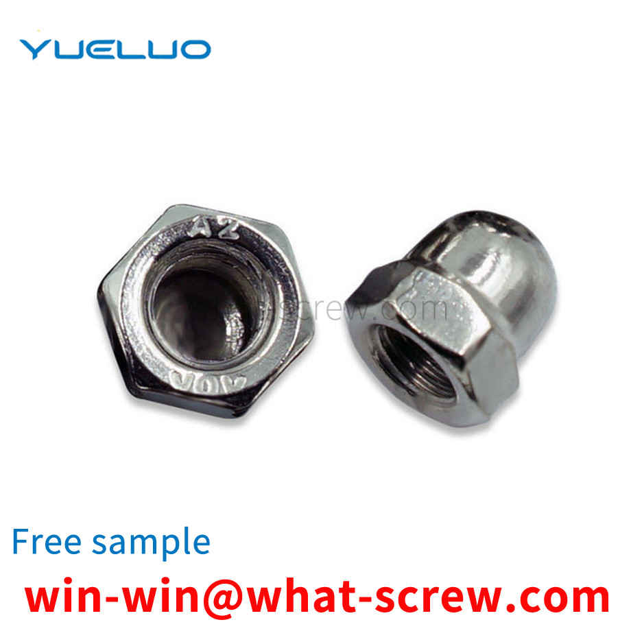 Customized stainless steel cap nut