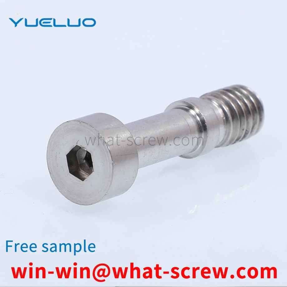 316 plug screw