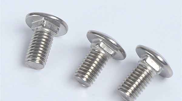 Stainless steel large round head square neck bolts Carriage bolts Stainless steel shelf screws