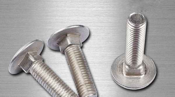 Supply 304 stainless steel American carriage screw size half round head square neck bolt 3/4